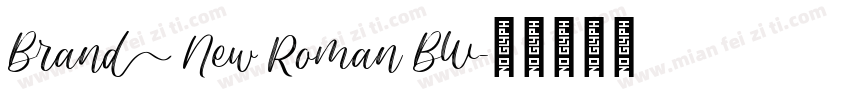 Brand New Roman BW字体转换